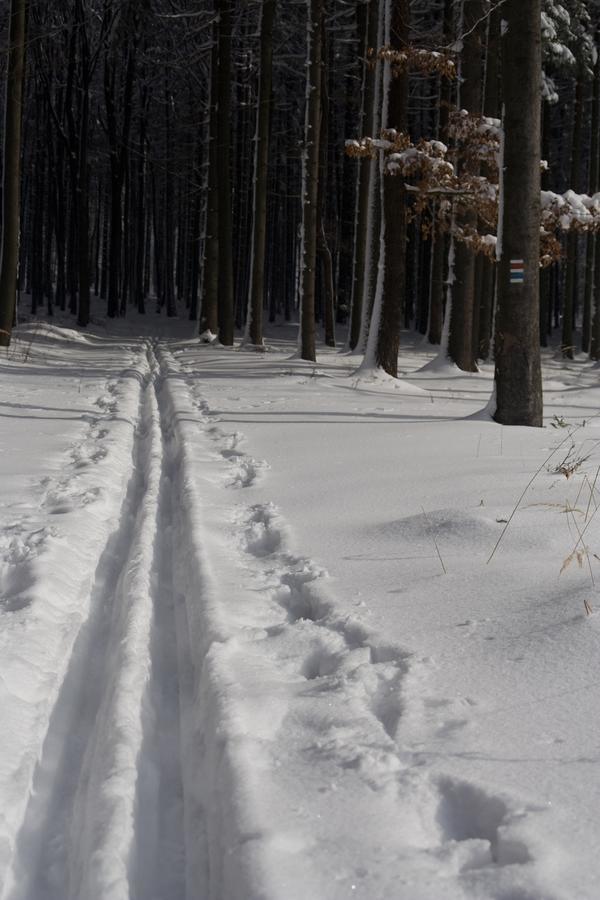 Robert Frost Mountain Cabins Middlebury Zewnętrze zdjęcie