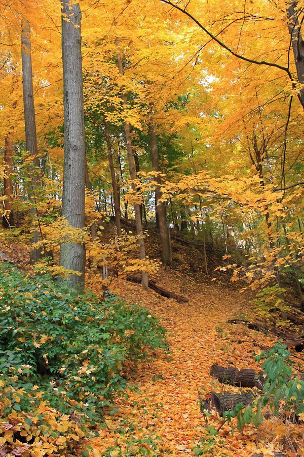 Robert Frost Mountain Cabins Middlebury Zewnętrze zdjęcie